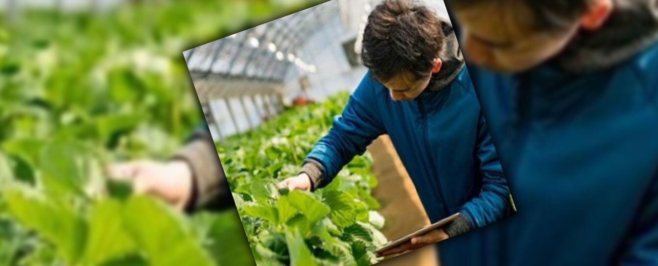 راه اندازی تلویزیون اینترنتی در حوزه آموزش و ترویج کشاورزی