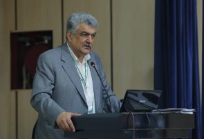 ارائه ۱۲ مقاله علمی و پژوهشی در روز نخست همایش 