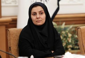 چرا برای حمایت از خانم وزیر، نهاد امنیتی پای کار نیامد؟